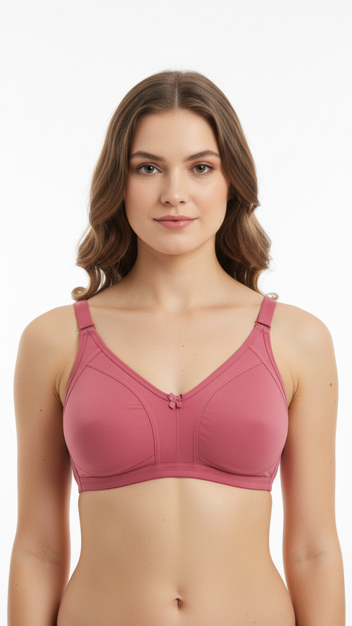 Lightly Padded T-Shirt Bra for Women (C & D Cup) – 6 Pack | Breastie