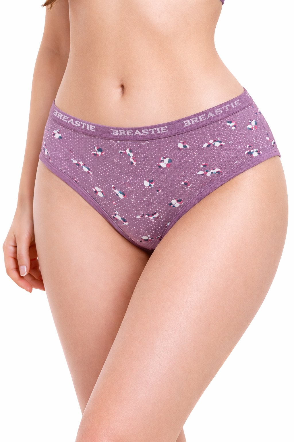 𝗕𝗿𝗲𝗮𝘀𝘁𝗶𝗲 𝗪𝗼𝗺𝗲𝗻’𝘀 𝗣𝗿𝗲𝗺𝗶𝘂𝗺 𝗖𝗼𝘁𝘁𝗼𝗻 𝗛𝗶𝗽𝘀𝘁𝗲𝗿 𝗨𝗻𝗱𝗲𝗿𝘄𝗲𝗮𝗿 – 𝟲 𝗣𝗮𝗰𝗸