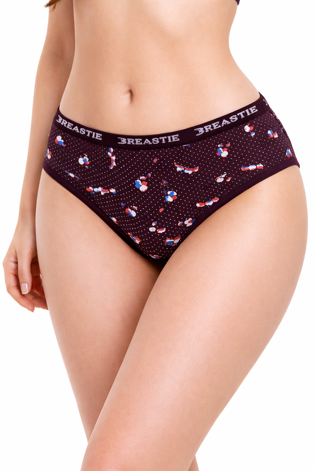 𝗕𝗿𝗲𝗮𝘀𝘁𝗶𝗲 𝗪𝗼𝗺𝗲𝗻’𝘀 𝗣𝗿𝗲𝗺𝗶𝘂𝗺 𝗖𝗼𝘁𝘁𝗼𝗻 𝗛𝗶𝗽𝘀𝘁𝗲𝗿 𝗨𝗻𝗱𝗲𝗿𝘄𝗲𝗮𝗿 – 𝟲 𝗣𝗮𝗰𝗸